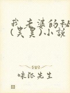 我老婆的秘密 (吴昊)小说