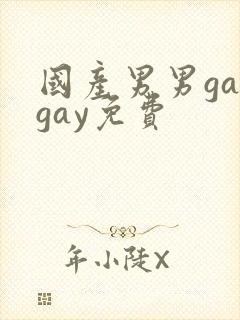 国产男男gaygay免费