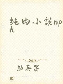 纯肉小说np高h封面