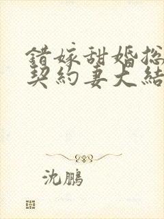 错嫁甜婚总裁的契约妻大结局