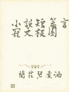 小说短篇言情甜宠文校园封面