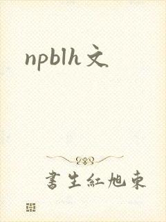 npblh文封面