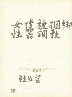 女仆被捆绑各种性器调教封面