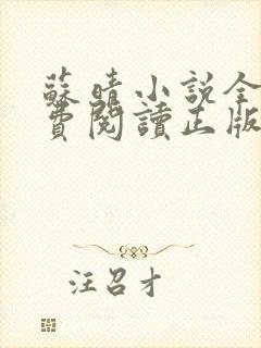 苏晴小说全文免费阅读正版无弹窗