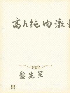 高h纯肉激情