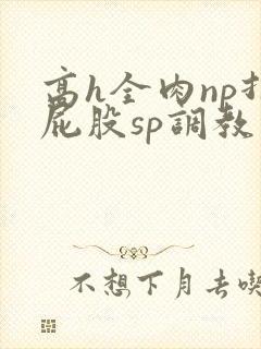 高h全肉np打屁股sp调教封面