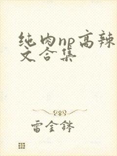 纯肉np高辣h文合集