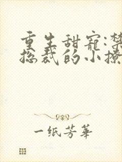 重生甜宠:禁欲总裁的小撩精