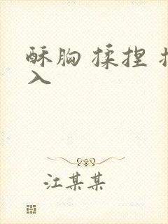 酥胸 揉捏 插入