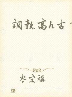 调教高h古言