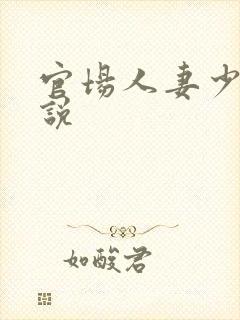 官场人妻少妇小说