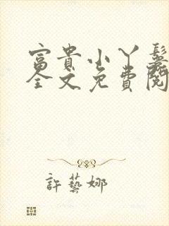 富贵小丫鬟小说全文免费阅读封面