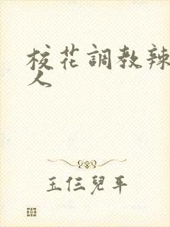 校花调教辣文多人