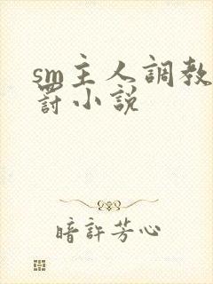 sm主人调教惩罚小说