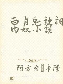 白月魁被调教成肉奴小说