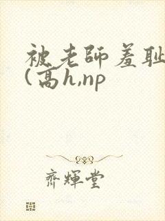 被老师羞耻调教(高h,np