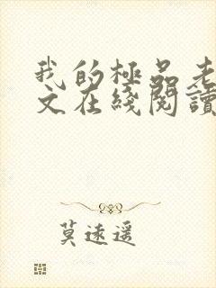 我的极品老婆全文在线阅读