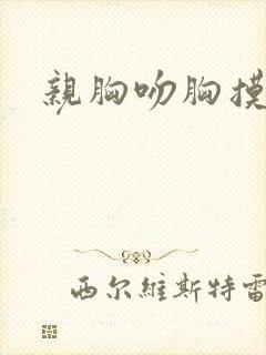 亲胸吻胸摸屁股