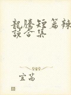 龙腾短篇辣文小说合集