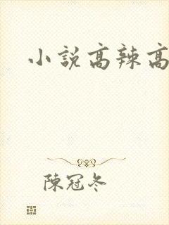 小说高辣高h