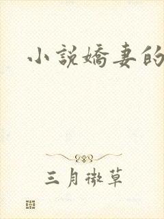 小说娇妻的秘密