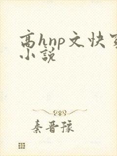 高hnp文快穿小说