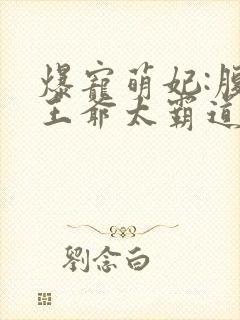 爆宠萌妃:腹黑王爷太霸道