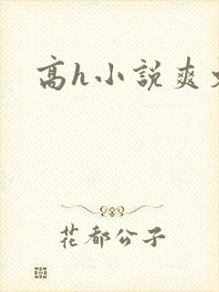 高h小说爽文