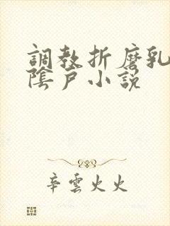 调教折磨乳头和阴户小说