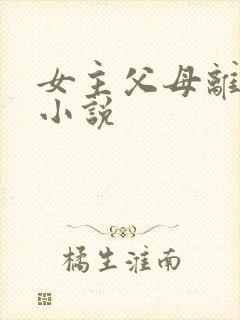 女主父母离婚的小说