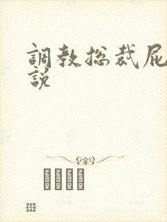 调教总裁屁眼小说封面