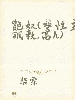 艳奴(双性主奴调教,高h)