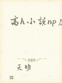 高h小说np虐