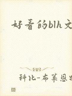 好看的blh文