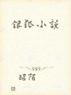 银狐小说