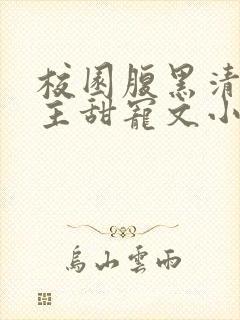 校园腹黑清冷男主甜宠文小说封面