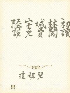 陆宇城林初韵小说免费阅读最新章节