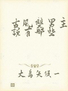 古风双男主的小说有哪些