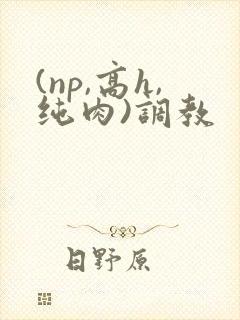 (np,高h,纯肉)调教