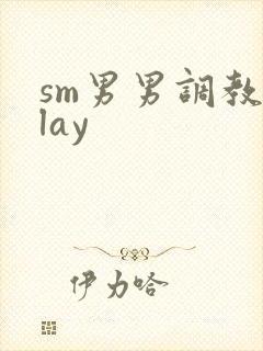 sm男男调教play