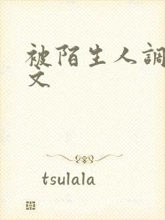 被陌生人调教h文