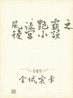 风流艳霸之熟妇后宫小说封面