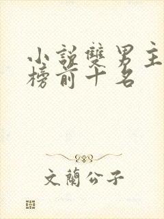 小说双男主排行榜前十名封面