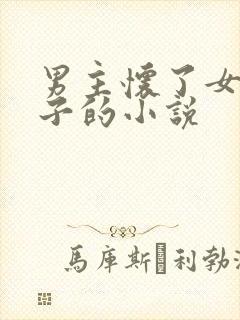 男主怀了女主孩子的小说