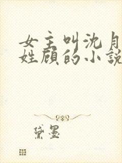 女主叫沈月男主姓顾的小说