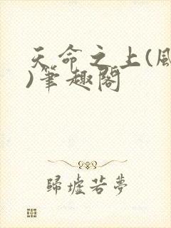 天命之上(风月)笔趣阁封面