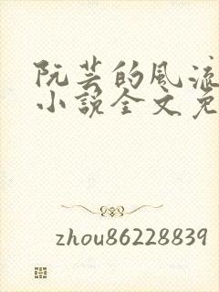 阮芸的风流人生小说全文免费阅读