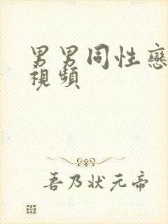 男男同性恋虐肛视频