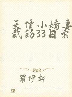 天价小娇妻 总裁的33日索情