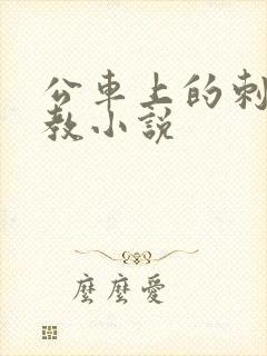 公车上的刺激调教小说